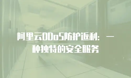 阿里云DDoS防护返利：一种独特的安全服务
