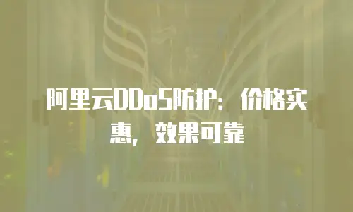 阿里云DDoS防护：价格实惠，效果可靠