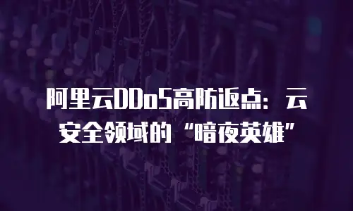 阿里云DDoS高防返点：云安全领域的“暗夜英雄”