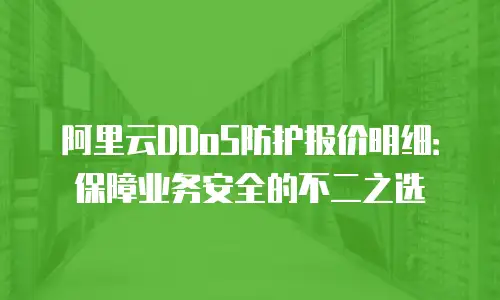 阿里云DDoS防护报价明细：保障业务安全的不二之选