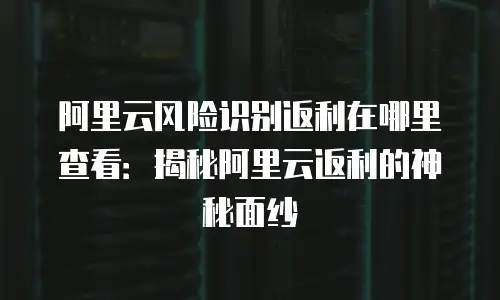 阿里云风险识别返利在哪里查看：揭秘阿里云返利的神秘面纱