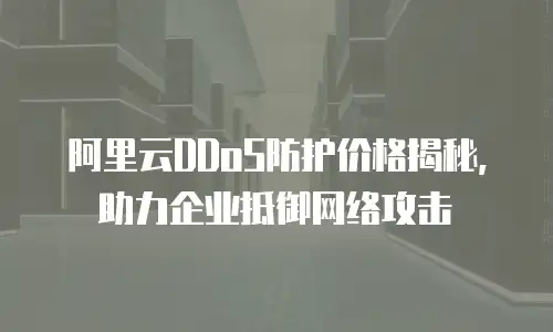阿里云DDoS防护价格揭秘，助力企业抵御网络攻击