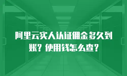 阿里云实人认证佣金多久到账？使用钱怎么查？