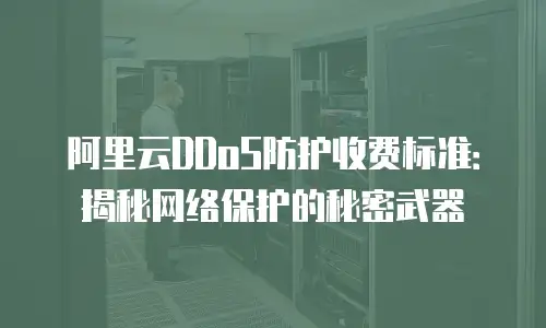 阿里云DDoS防护收费标准：揭秘网络保护的秘密武器