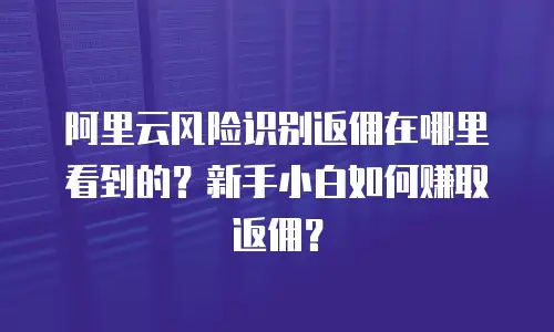 阿里云风险识别返佣在哪里看到的？新手小白如何赚取返佣？