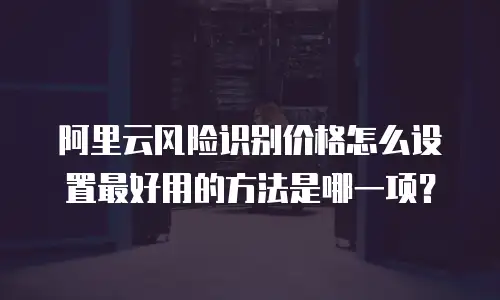 阿里云风险识别价格怎么设置最好用的方法是,阿里云风险识别价格怎么设置最好用的方法是哪一项