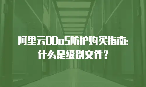 阿里云DDoS防护购买指南: 什么是级别文件?