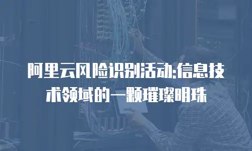 阿里云风险识别活动:信息技术领域的一颗璀璨明珠