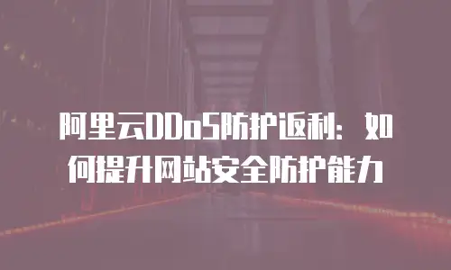 阿里云DDoS防护返利：如何提升网站安全防护能力