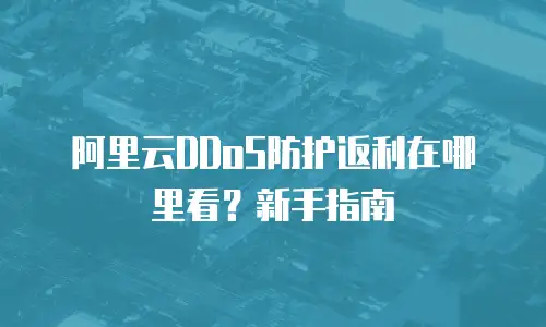阿里云DDoS防护返利在哪里看？新手指南