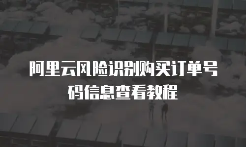 阿里云风险识别购买订单号码信息查看教程
