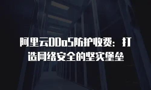 阿里云DDoS防护收费：打造网络安全的坚实堡垒