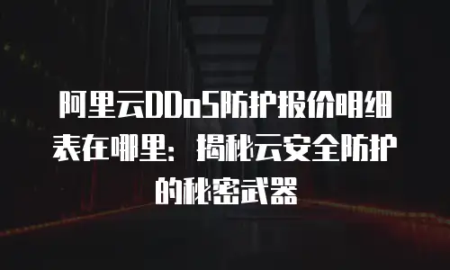 阿里云DDoS防护报价明细表在哪里：揭秘云安全防护的秘密武器