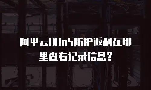 阿里云DDoS防护返利在哪里查看记录信息？