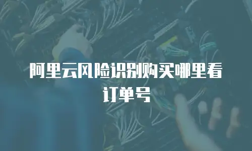 阿里云风险识别购买哪里看订单号
