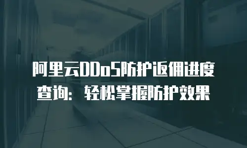 阿里云DDoS防护返佣进度查询：轻松掌握防护效果