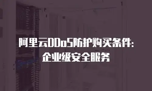 阿里云DDoS防护购买条件：企业级安全服务