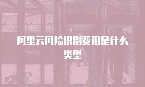 阿里云风险识别费用是什么类型