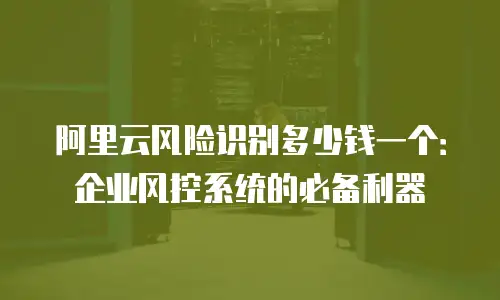阿里云风险识别多少钱一个：企业风控系统的必备利器