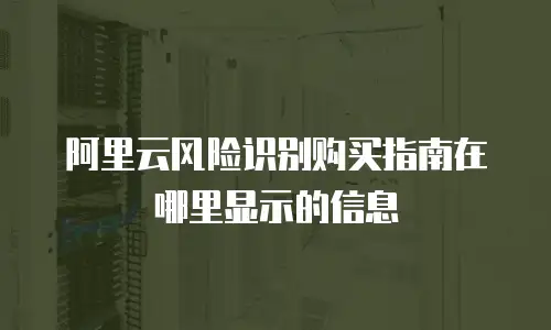 阿里云风险识别购买指南在哪里显示的信息