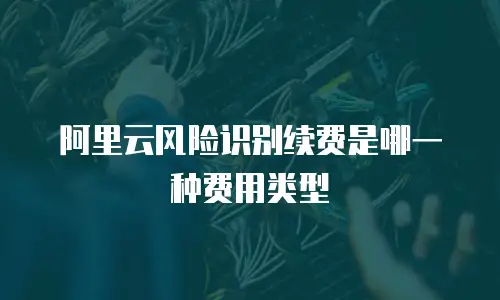 阿里云风险识别续费是哪一种费用类型