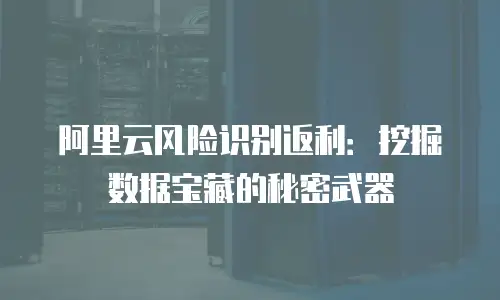 阿里云风险识别返利：挖掘数据宝藏的秘密武器