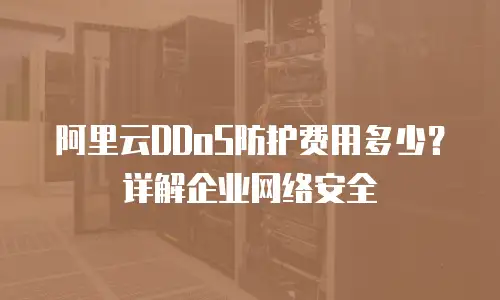 阿里云DDoS防护费用多少？详解企业网络安全