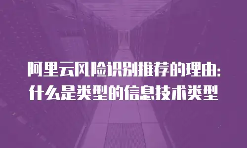 阿里云风险识别推荐的理由：什么是类型的信息技术类型