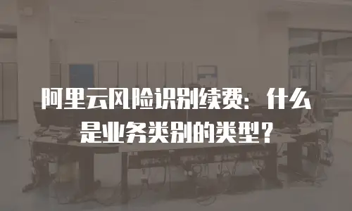 阿里云风险识别续费：什么是业务类别的类型？