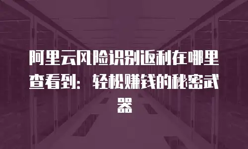 阿里云风险识别返利在哪里查看到：轻松赚钱的秘密武器