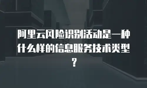 阿里云风险识别活动是一种什么样的信息服务技术类型？