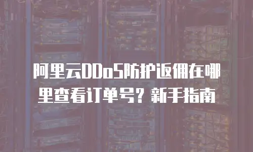 阿里云DDoS防护返佣在哪里查看订单号？新手指南