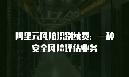 阿里云风险识别续费：一种安全风险评估业务