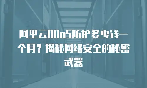 阿里云DDoS防护多少钱一个月？揭秘网络安全的秘密武器