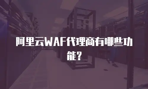 阿里云WAF代理商有哪些功能？