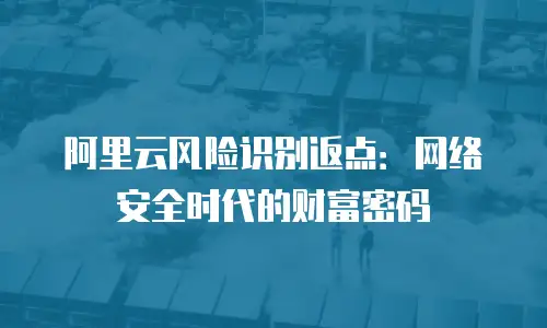 阿里云风险识别返点：网络安全时代的财富密码