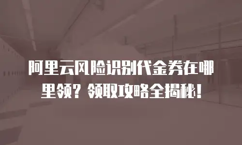 阿里云风险识别代金券在哪里领？领取攻略全揭秘！