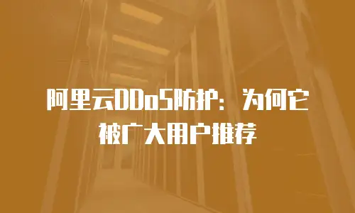 阿里云DDoS防护：为何它被广大用户推荐