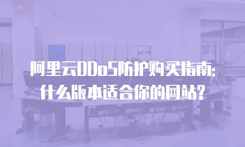 阿里云DDoS防护购买指南: 什么版本适合你的网站?