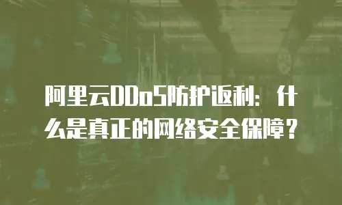 阿里云DDoS防护返利：什么是真正的网络安全保障？