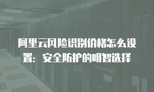 阿里云风险识别价格怎么设置：安全防护的明智选择