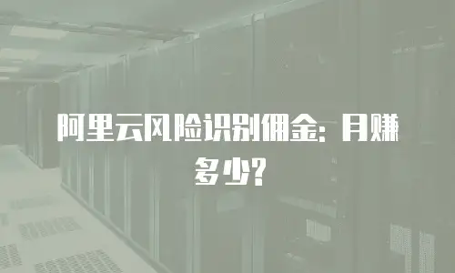 阿里云风险识别佣金: 月赚多少?