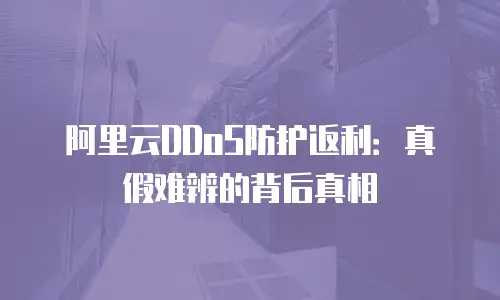 阿里云DDoS防护返利：真假难辨的背后真相