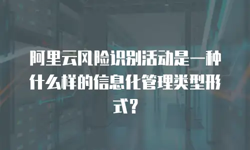 阿里云风险识别活动是一种什么样的信息化管理类型形式？