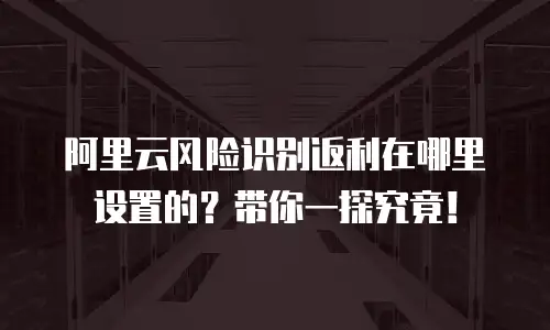 阿里云风险识别返利在哪里设置的？带你一探究竟！
