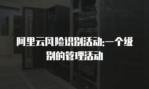 阿里云风险识别活动:一个级别的管理活动