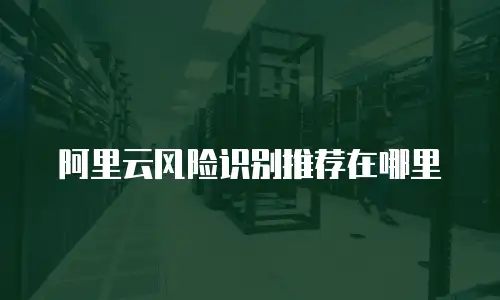 阿里云风险识别推荐在哪里