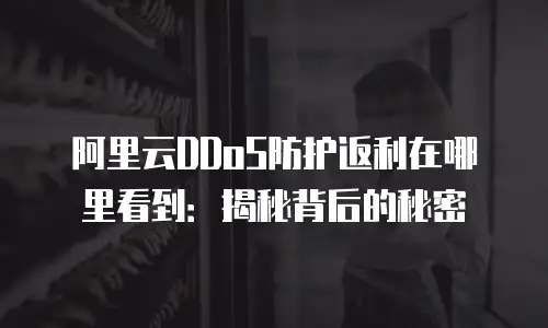 阿里云DDoS防护返利在哪里看到：揭秘背后的秘密