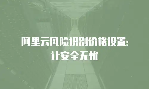 阿里云风险识别价格设置：让安全无忧