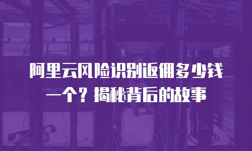 阿里云风险识别返佣多少钱一个？揭秘背后的故事